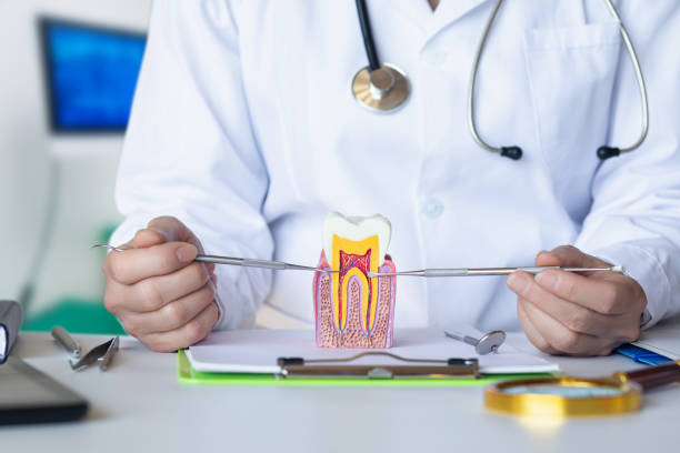 Best Emergency Tooth Extraction in Tipp City, OH